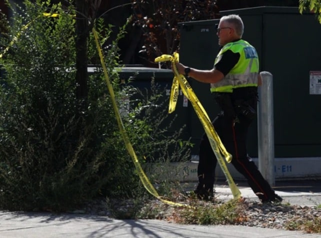 Last year was the deadliest year for pedestrians in Ottawa, with 23 vehicle collisions, 11 of which were fatal